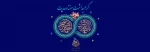 ولادت حضرت رسول (ص) ، امام جعفر صادق (ع) و گرامیداشت هفته وحدت 2
